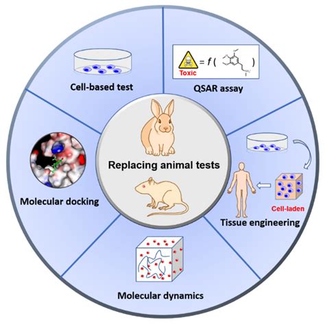 alternatives to animal testing